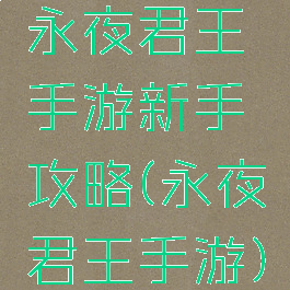 永夜君王手游新手攻略(永夜君王手游)