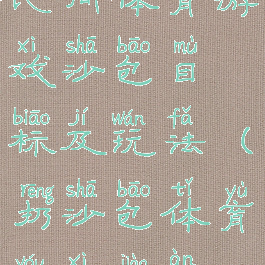 民间体育游戏沙包目标及玩法(扔沙包体育游戏教案)