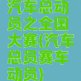 汽车总动员之全国大赛(汽车总员赛车动员)