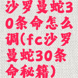 沙罗曼蛇30条命怎么调(fc沙罗曼蛇30条命秘籍)