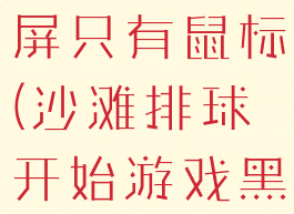 沙滩排球黑屏只有鼠标(沙滩排球开始游戏黑屏)