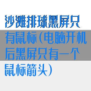 沙滩排球黑屏只有鼠标(电脑开机后黑屏只有一个鼠标箭头)