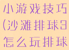 沙滩排球3小游戏技巧(沙滩排球3怎么玩排球)