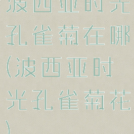波西亚时光孔雀菊在哪(波西亚时光孔雀菊花)