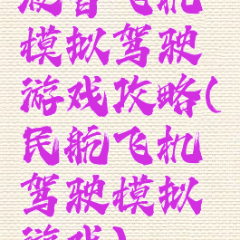 波音飞机模拟驾驶游戏攻略(民航飞机驾驶模拟游戏)