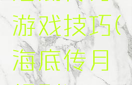 海底传月游戏技巧(海底传月规则)