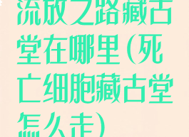 流放之路藏古堂在哪里(死亡细胞藏古堂怎么走)