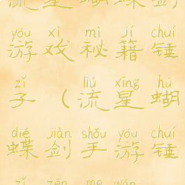 流星蝴蝶剑游戏秘籍锤子(流星蝴蝶剑手游锤子怎么玩)