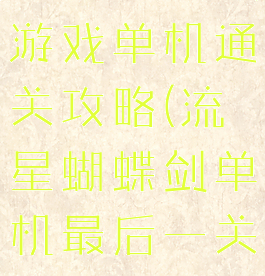 流星蝴蝶剑游戏单机通关攻略(流星蝴蝶剑单机最后一关怎么过)