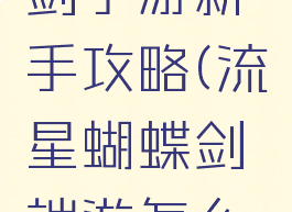 流量蝴蝶剑手游新手攻略(流星蝴蝶剑端游怎么玩)