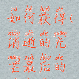 消逝的光芒征用包如何获得(消逝的光芒最后的希望怎么获得)