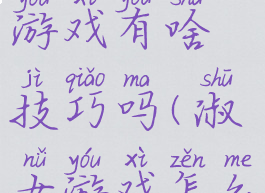 淑女之夜游戏有啥技巧吗(淑女游戏怎么玩)