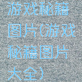 游戏秘籍图片(游戏秘籍图片大全)
