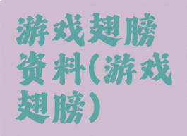 游戏翅膀资料(游戏翅膀)