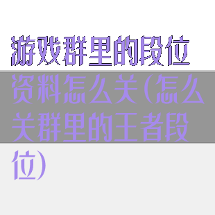 游戏群里的段位资料怎么关(怎么关群里的王者段位)