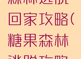 游戏糖果森林逃脱回家攻略(糖果森林逃脱攻略回家)