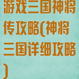 游戏三国神将传攻略(神将三国详细攻略)
