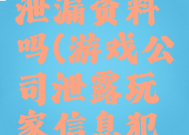 游戏公司泄漏资料吗(游戏公司泄露玩家信息犯什么罪)