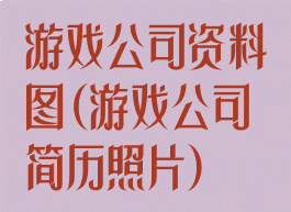 游戏公司资料图(游戏公司简历照片)