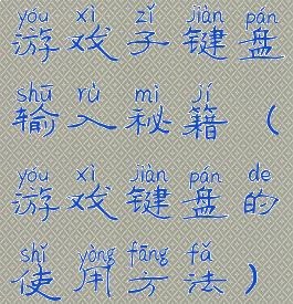 游戏子键盘输入秘籍(游戏键盘的使用方法)