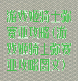 游戏姬骑士弥赛亚攻略(游戏姬骑士弥赛亚攻略图文)