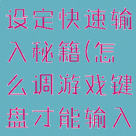 游戏控制台设定快速输入秘籍(怎么调游戏键盘才能输入秘籍)