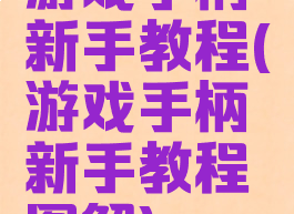 游戏手柄新手教程(游戏手柄新手教程图解)