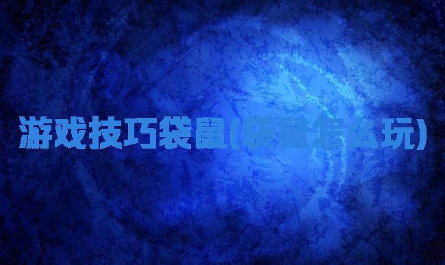 游戏技巧袋鼠(袋鼠怎么玩)