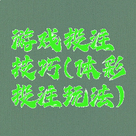 游戏投注技巧(体彩投注玩法)