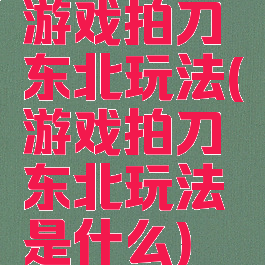 游戏拍刀东北玩法(游戏拍刀东北玩法是什么)