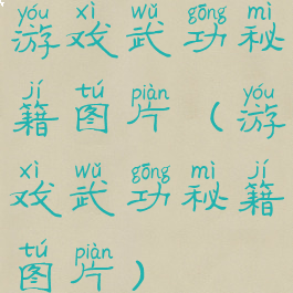 游戏武功秘籍图片(游戏武功秘籍图片)