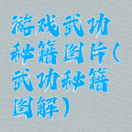 游戏武功秘籍图片(武功秘籍图解)