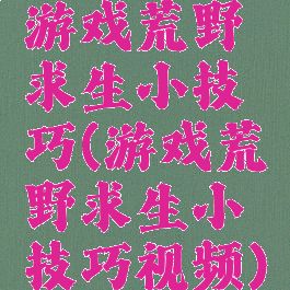 游戏荒野求生小技巧(游戏荒野求生小技巧视频)