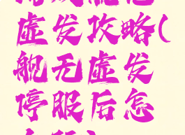 游戏舰无虚发攻略(舰无虚发停服后怎么玩)