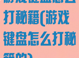 游戏键盘怎么打秘籍(游戏键盘怎么打秘籍的)