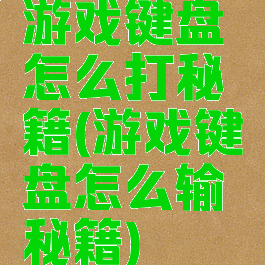 游戏键盘怎么打秘籍(游戏键盘怎么输秘籍)