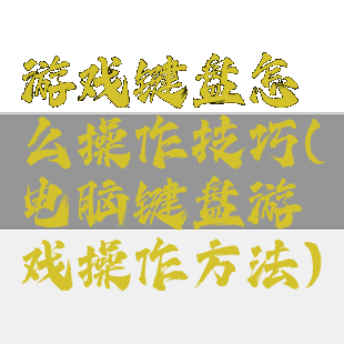 游戏键盘怎么操作技巧(电脑键盘游戏操作方法)
