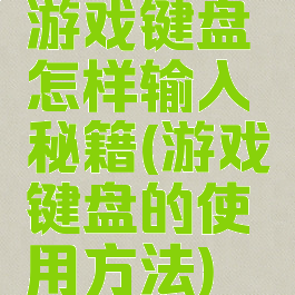 游戏键盘怎样输入秘籍(游戏键盘的使用方法)