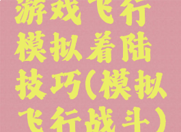 游戏飞行模拟着陆技巧(模拟飞行战斗)