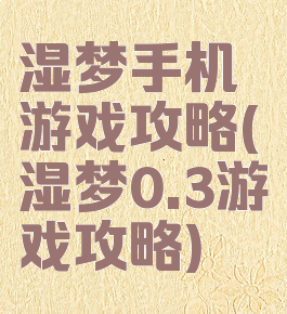 湿梦手机游戏攻略(湿梦0.3游戏攻略)