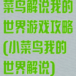 菜鸟解说我的世界游戏攻略(小菜鸟我的世界解说)