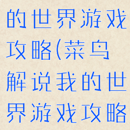 菜鸟解说我的世界游戏攻略(菜鸟解说我的世界游戏攻略大全)