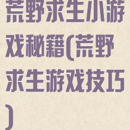 荒野求生小游戏秘籍(荒野求生游戏技巧)