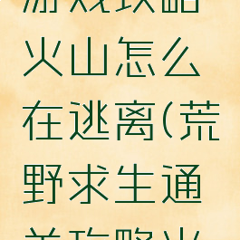 荒野求生游戏攻略火山怎么在逃离(荒野求生通关攻略火山浪)