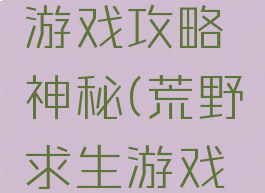 荒野求生游戏攻略神秘(荒野求生游戏攻略过关)