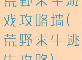 荒野求生游戏攻略墙(荒野求生逃生攻略)