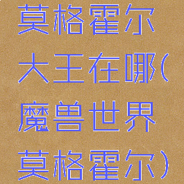 莫格霍尔大王在哪(魔兽世界莫格霍尔)
