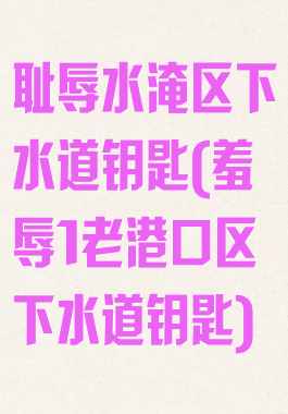 耻辱水淹区下水道钥匙(羞辱1老港口区下水道钥匙)