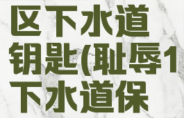 耻辱水淹区下水道钥匙(耻辱1下水道保险箱密码)