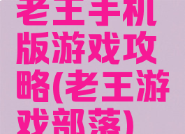 老王手机版游戏攻略(老王游戏部落)